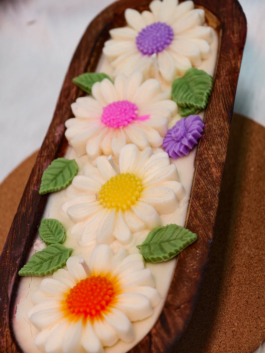 Daisy Dreams Delight